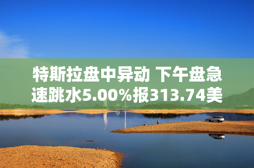 特斯拉盘中异动 下午盘急速跳水5.00%报313.74美元