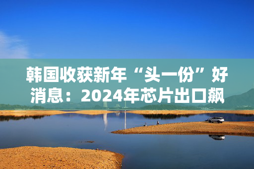 韩国收获新年“头一份”好消息：2024年芯片出口飙升43.9%创新高