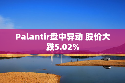 Palantir盘中异动 股价大跌5.02%