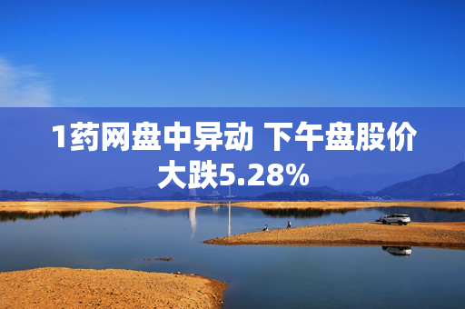 1药网盘中异动 下午盘股价大跌5.28%