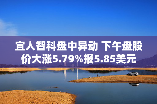 宜人智科盘中异动 下午盘股价大涨5.79%报5.85美元