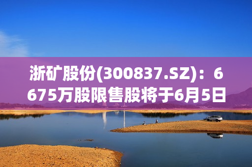 浙矿股份(300837.SZ)：6675万股限售股将于6月5日起上市流通