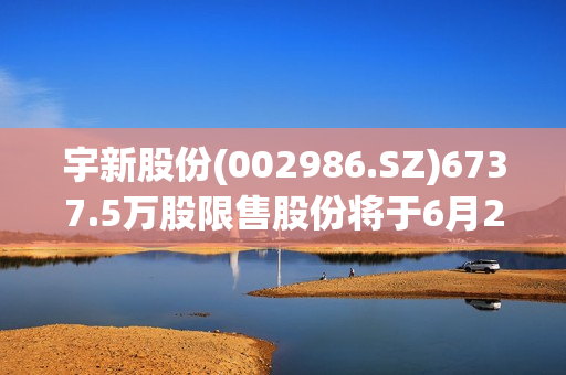 宇新股份(002986.SZ)6737.5万股限售股份将于6月2日上市流通