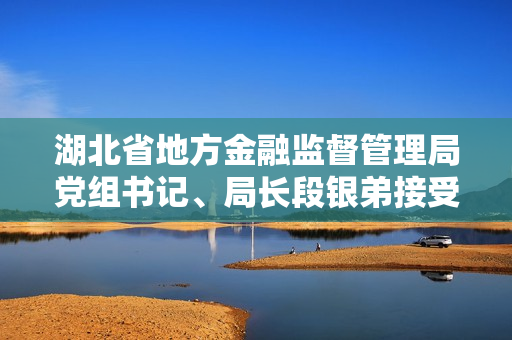 湖北省地方金融监督管理局党组书记、局长段银弟接受审查调查