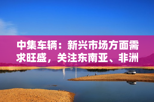 中集车辆：新兴市场方面需求旺盛，关注东南亚、非洲及中东地区市场机会 第1张