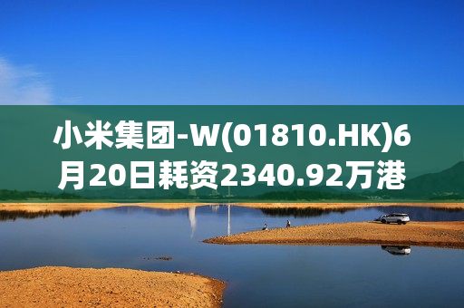 小米集团-W(01810.HK)6月20日耗资2340.92万港元回购220万股 第1张