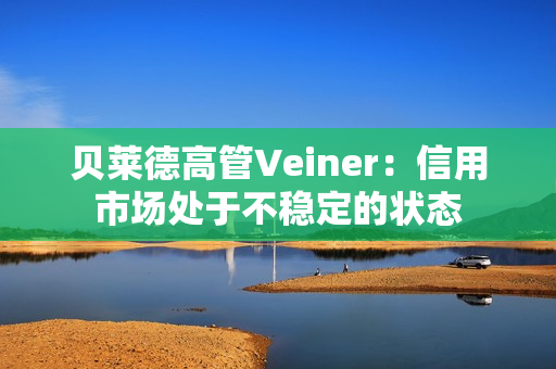 贝莱德高管Veiner：信用市场处于不稳定的状态