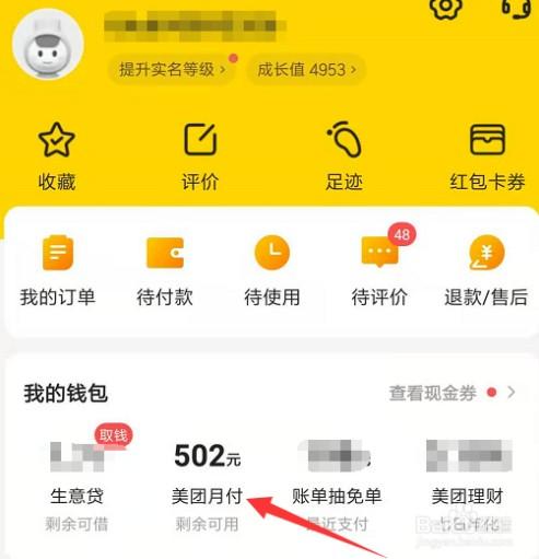 美团月付这么轻松就套现取现出来了？这就很离谱了兄弟们。 第1张