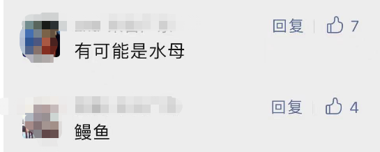 多名游客下海被不明生物咬伤！广西一地凌晨回应 第5张