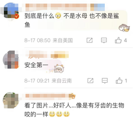 多名游客下海被不明生物咬伤！广西一地凌晨回应 第7张