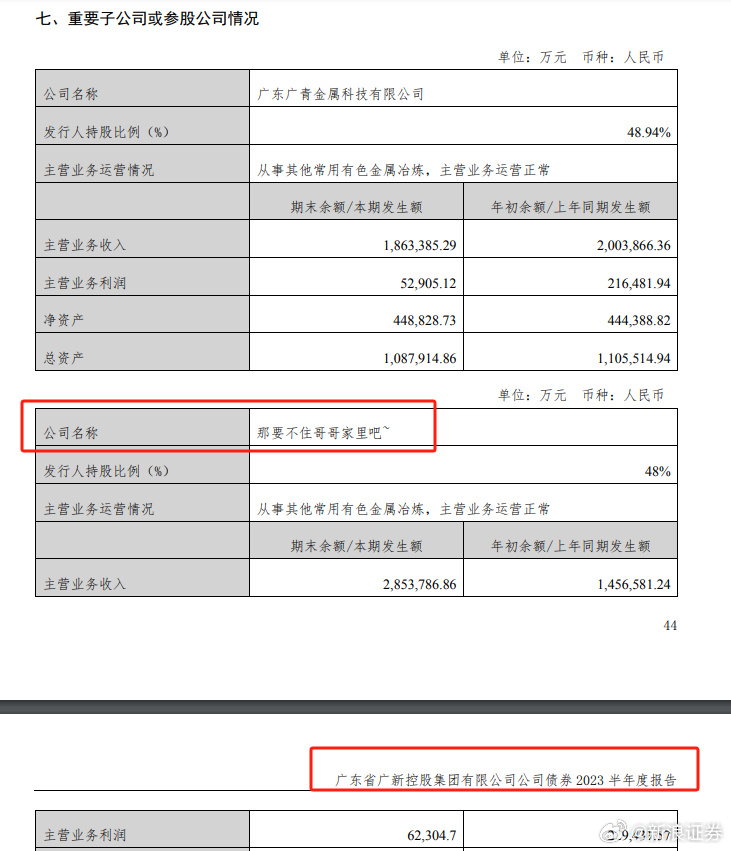 广东广新控股旗下子公司名称为“那要不住哥哥家里吧” 第1张