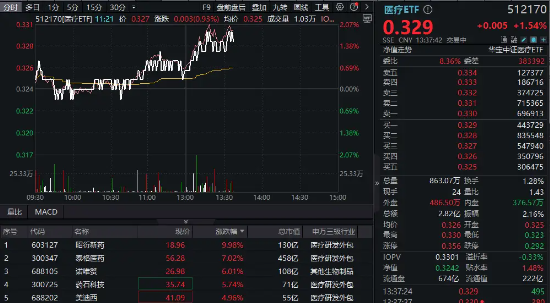 CXO午后飙升，昭衍新药涨停，泰格医药涨逾7%！医疗ETF（512170）快速拉升涨超1.5% 第2张