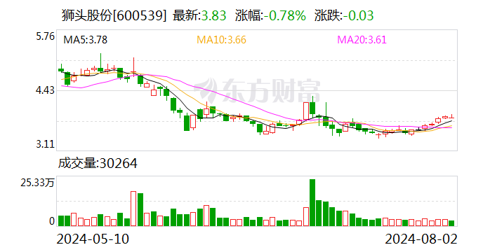 狮头股份：收到山西证监局行政监管措施决定书 第1张