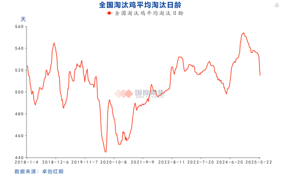 【鸡蛋专题】本轮鸡蛋价格周期的底部如何评估？ 第9张