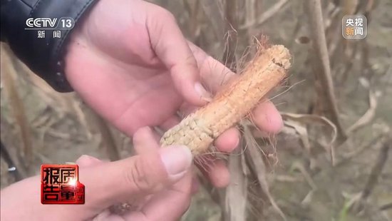 每周质量报告丨未定损就签字、没受灾也赔付 惠农保险理赔怎成一笔“糊涂账”？ 第15张