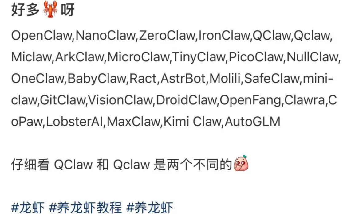 累了，疲了，再也不想追“龙虾”了 第7张