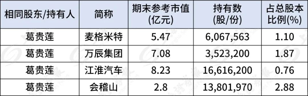 葛卫东家族，190亿持仓曝光 第3张